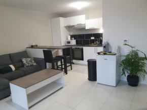 Appartement avec 2 chambres, un parking privé, une terrasse, à Floirac-Arkéa Arena Bordeaux